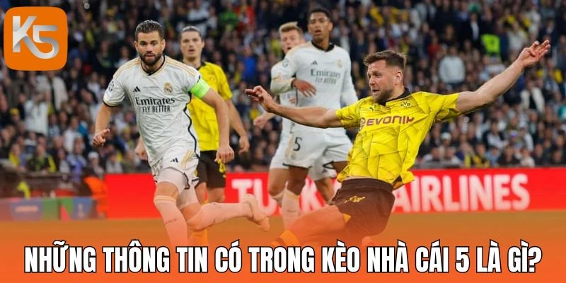 Những thông tin có trong kèo nhà cái 5 là gì? 
