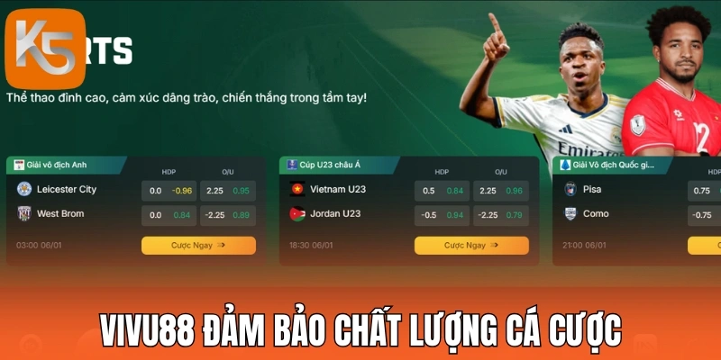 Vivu88 đảm bảo chất lượng cá cược
