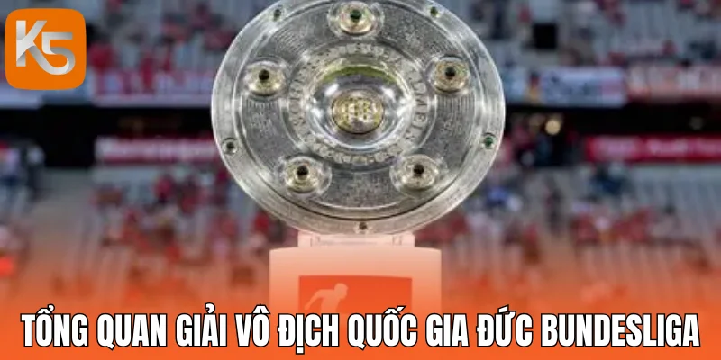 Tổng quan giải vô địch quốc gia Đức Bundesliga