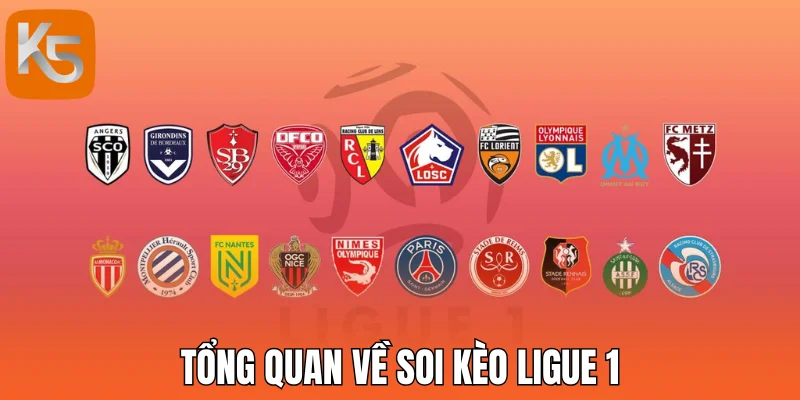 Check đủ dữ kiện trước giờ bóng lăn, bắt kèo mới tự tin