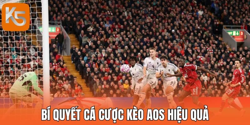 Bí quyết cá cược kèo AOS hiệu quả