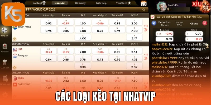Các loại kèo tại Nhatvip
