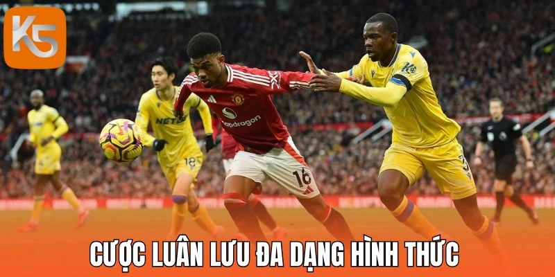 Cược luân lưu đa dạng hình thức 