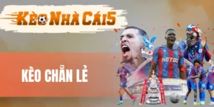 Kinh nghiệm bắt kèo chuẩn cho cược thủ