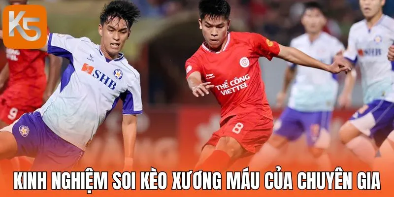 Kinh nghiệm soi kèo xương máu của chuyên gia