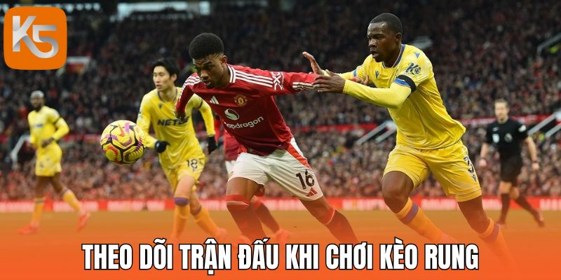 Theo dõi trận đấu cặn kẽ khi chơi kèo rung