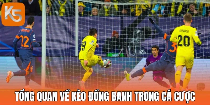 Tổng quan về kèo đồng banh trong cá cược