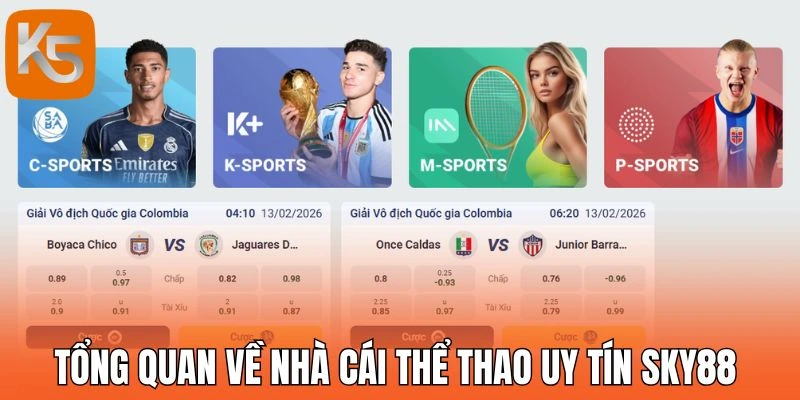 Tổng quan về nhà cái thể thao uy tín Sky88 