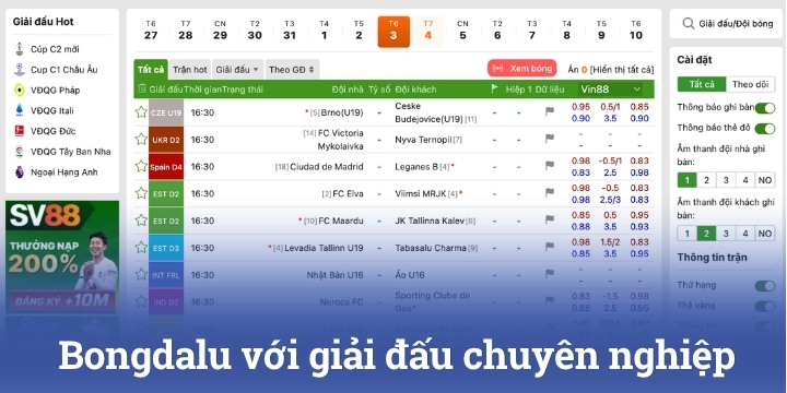 Các giải đấu được Bongdalu cung cấp hiện nay