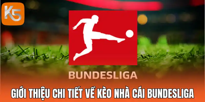 Giới thiệu chi tiết về kèo nhà cái Bundesliga