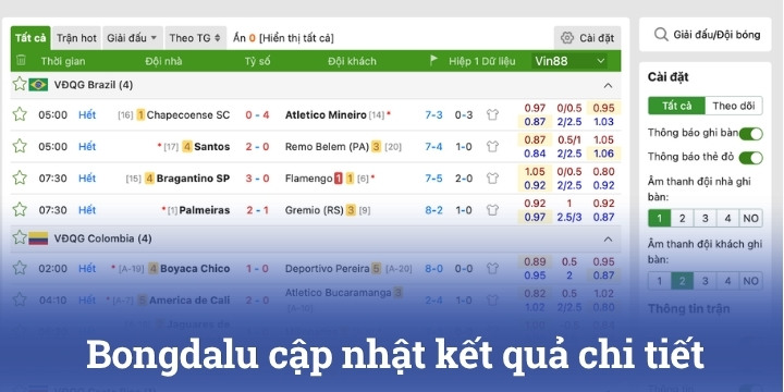 Kết quả trận đấu chi tiết khiến nhiều người chơi Bongdalu thích thú
