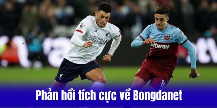 Phản hồi tích cực của người dùng về Bongdanet