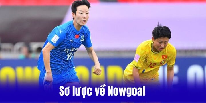 Khái quát chung về Nowgoal dành cho người dùng mới
