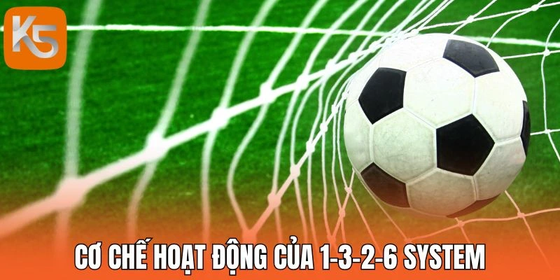 Cơ chế hoạt động của 1-3-2-6 System