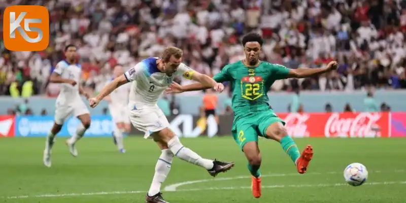 Đội hình và sơ đồ dự kiến của Sénégal vs Iraq