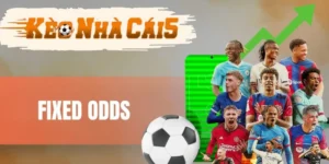 Fixed Odds - Chiến Thuật Cá Cược Quét Sạch Tiền Mọi Nhà Cái