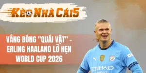 Erling Haaland Làm Fan Thất Vọng Khi Lỡ Hẹn World Cup 2026